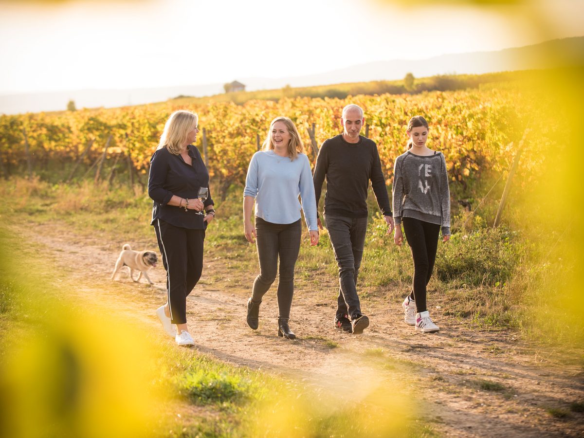Weinprobe im Rheingau: Weinberge des Weinguts Friedel Russler bei Walluf